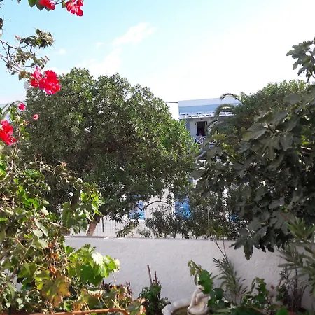 فندق Maistrali غاليساس